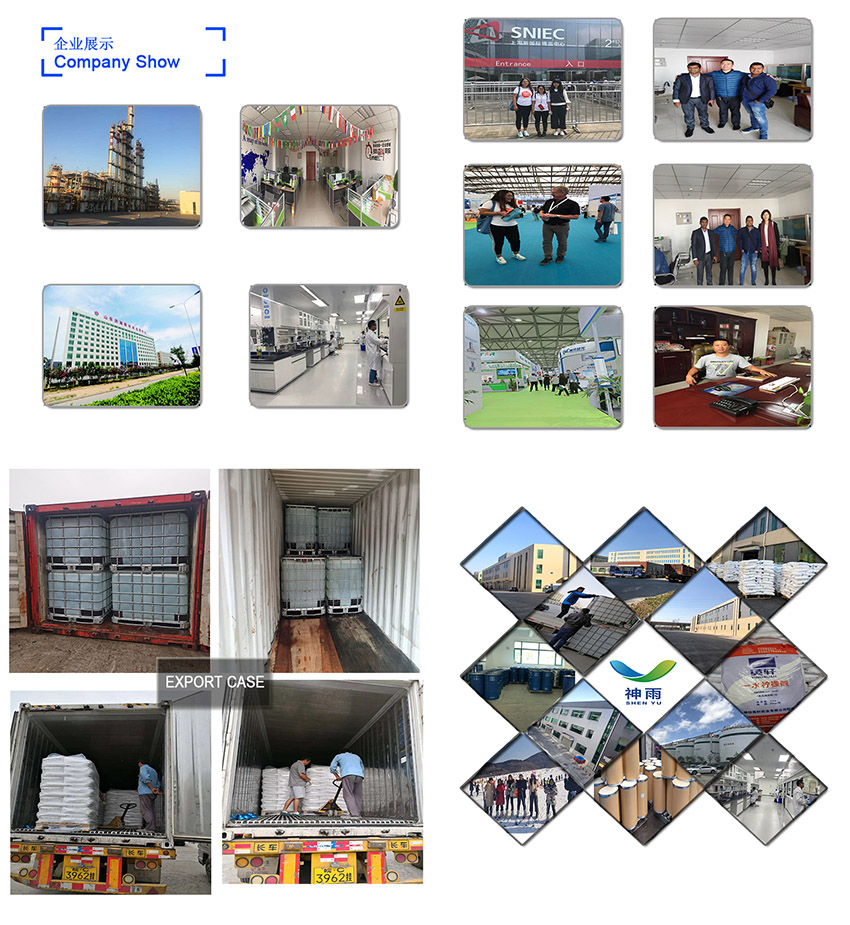 Shenyu Energy(Shandong) Development Co., Ltd Shenyu Energy(Shandong) Development Co., Ltd
